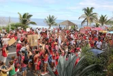 Manifestation contre la crise requins à Saint-Leu