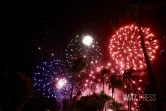 Saint-Denis, le traditionnel feu d'artifice pour le 14 juillet