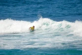 Eurosurf Junior