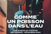 Lancement de la saison théâtrale du Centre Dramatique National de l'océan Indien