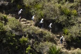 Grand Raid 2006