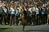 grand raid 2004