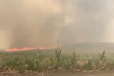 Saint-André : vaste feu dans un champ de canne, des habitants évacués