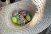 Chasse aux oeufs