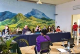 Conseil municipal du Tampon : trois motions votées