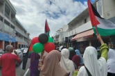 Manifestation Gaza Saint-Louis