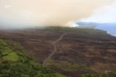 Incendie, Grand brûlé, Sainte-Rose, feu, végétation