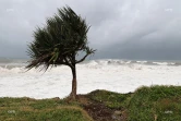 cyclone intense Batsirai 2 février 2022 côte est