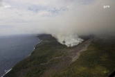 Incendie, Grand brûlé, Sainte-Rose, feu, végétation