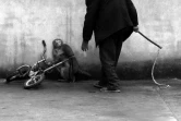 Coucours photojournalisme