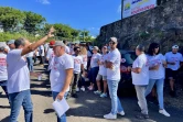 manif agriculteurs à la DAAF saint-pierre 