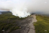 Incendie, Grand brûlé, Sainte-Rose, feu, végétation
