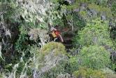 grand raid 2004