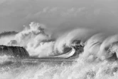 photographe amateur Xavier Agnus
