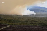 Incendie, Grand brûlé, Sainte-Rose, feu, végétation