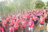 Odyssea 2014