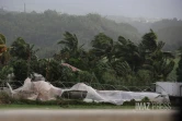 Cyclone Belal : Bois Rouge