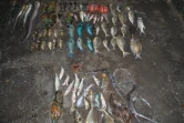 Saisie 51 kg pour 96 poissons et un crabe la saline pêche illégale