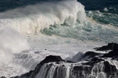 houle en bord de mer avec de grosses vagues