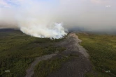 Incendie, Grand brûlé, Sainte-Rose, feu, végétation