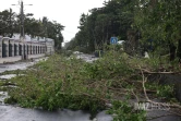 Cyclone Belal : Route de champ borne