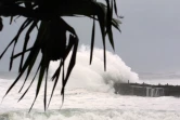 cyclone dina 22 janvier 2002