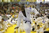 Teddy Riner judo