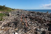 ramassage déchets après le cyclone 