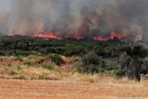 Incendies dans le Sud de la France (34)