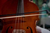 Saint-Pierre : ils chantent et jouent en choeur pour célébrer Noël