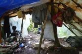 Nettoyage camps braconniers Bébour