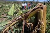 Garance : La Réunion, l'île en phase de sauvegarde