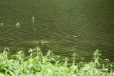 Fortes pluies à Grand Étang (Sainte-Suzanne)