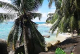 Culture créole aux Seychelles