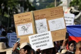 manif pour une liaison vers les comores 