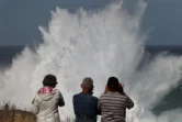 houle en bord de mer avec de grosses vagues