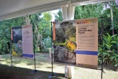exposition "Histoire des Hommes et des espèces à La Réunion" AVE2M