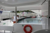 maxi catamaran Maloya 