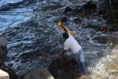 Lazaret de la Grande Chaloupe : La Réunion rend hommage aux travailleurs engagés 