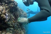 Nettoyage des fonds sous-marin