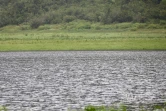 Fortes pluies à Grand Étang (Sainte-Suzanne)