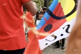 rassemblement soutien antilles