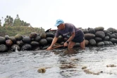 prépartion des canaux pour la pêche du bichique 