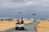 Les deux faucons pèlerins chargés d'éviter que des oiseaux n'entrent en collision avec des avions volent aux abords des pistes, le 29 janvier 2018 à l'aéroport de Mexico