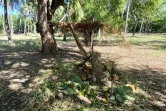 Land art