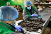 Des employés dans des usines d'Al-Arees manipulent des biscuits au chocolat dans la ville de Gaza, le 5 février 2020