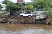 Garance : La Réunion, l'île en phase de sauvegarde