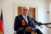 Le président allemand Frank-Walter Steinmeier le 16 avril 2019 à Berlin