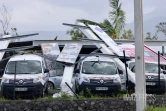 Garance : La Réunion, l'île en phase de sauvegarde