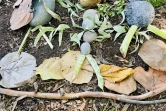 Land art